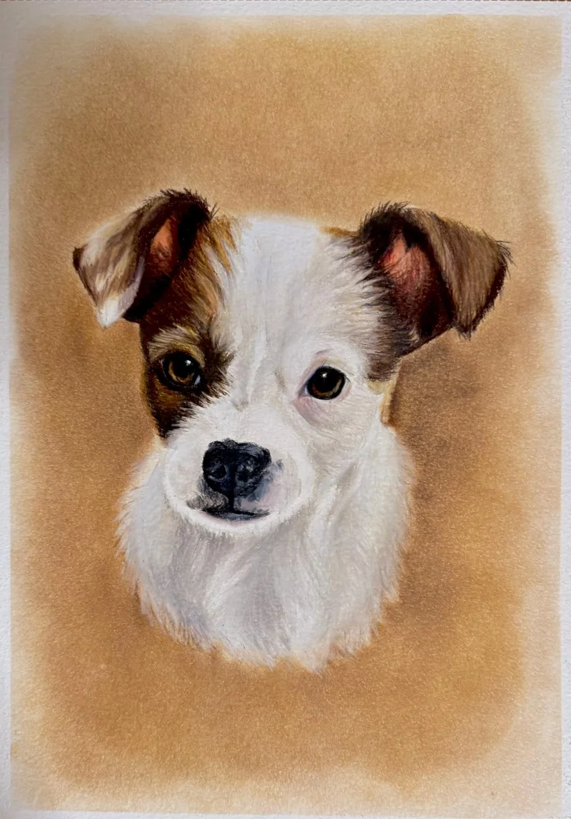 Retrato artístico de Cinderella