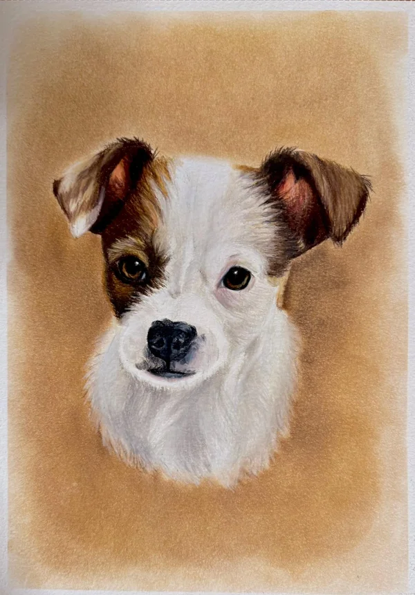 Retrato de Cinderella