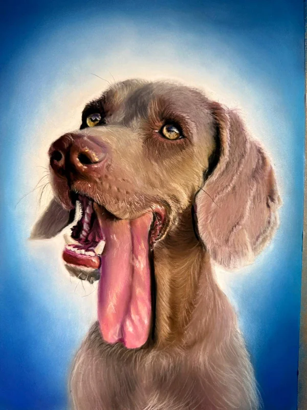 Virginia - Artista de retratos de animales en Córdoba